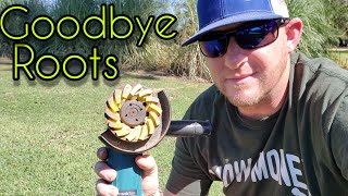 How to remove tree roots in your lawn [upl. by Nilyad]