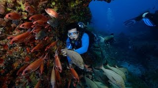 Mergulho em Noronha Pedras Secas [upl. by Kentigerma]