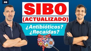 🔴 SIBO 2024 👉 TRATAMIENTO para NO RECAER [upl. by Aisayn582]