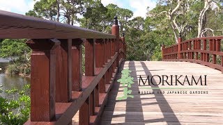 MORIKAMI Museum and Japanese Gardens Delray Beach Florida [upl. by Bernt425]