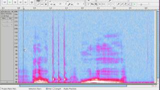 How to View the Spectrum in Audacity [upl. by Jevon]