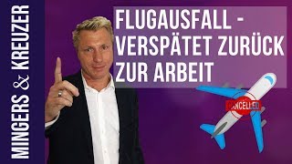 Flugausfall  Verspätet zurück zur Arbeit  FragMingers [upl. by Aerdied]