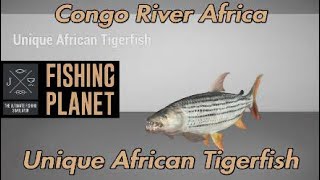 Fishing Planet  Unique African Tigerfish  Congo River Africa [upl. by Lola]