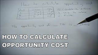 How to calculate opportunity costs [upl. by Yeleak357]