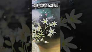 다육식물 오르니토칼룸두비움 참좋은날 이찬원 Ornithogalum 베들레헴별꽃 [upl. by Ayhdnas]