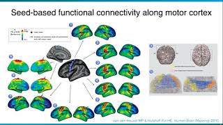 OHBM Oral Presentations 2018 Daniel Margulies [upl. by Pliske462]