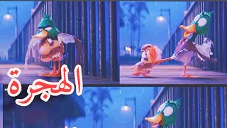 migration فيلم الهجرة مدبلج مصري تحفة ❤️ الهجرة 🦆 🦆 شكلك متضايق وأنت محتاج حضن🦆🦆 [upl. by Ainoz]