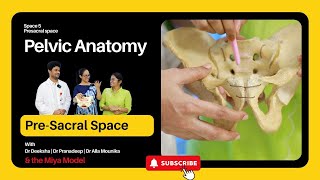 Pelvic Anatomy  Episode 05  Presacral space  Used for sacrocolpopexy or sacrohysteropexy [upl. by Hazaki]