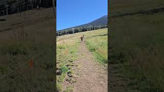 From Snowbowl To Summit Humphreys Peak In Flagstaff Arizona arizona [upl. by Inal]