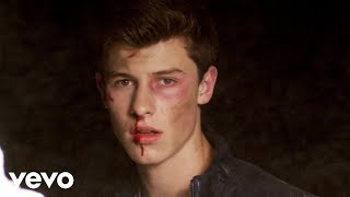 Shawn Mendes  Stitches Official Music Video [upl. by Della]