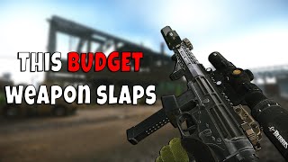 This Budget Weapon Slaps  Escape from Tarkov [upl. by Noslien]