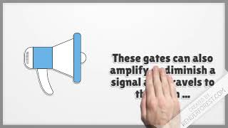 Part 1 The Gate Control Theory of Pain [upl. by Muns]