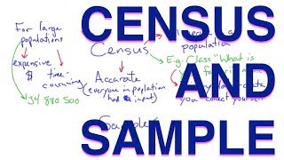 Census and Sample  Methods of Data Collection  Learn with an Experienced Teacher [upl. by Daitzman]