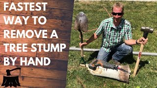 How To Remove A Tree Stump By Hand In 20 Minutes Or Less [upl. by Gustin]