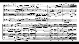 Beethoven String Quartet no 8 in E minor op 59 no 2 [upl. by Oivlis]