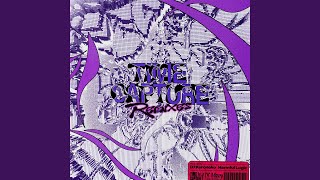 Time Capture Harmful Logic Remix [upl. by Rehtae]