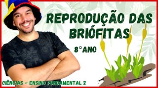 CICLO REPRODUTIVO DAS BRIÓFITAS  8° ano  Aula completa  CIÊNCIAS 2021  Ensino fundamental 2 [upl. by Hueston]