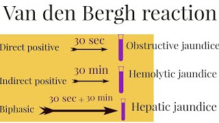 Van Den Berghs Reaction How to detect types of jaundice  Direct vs Indirect vs Biphasic [upl. by Atinahc]