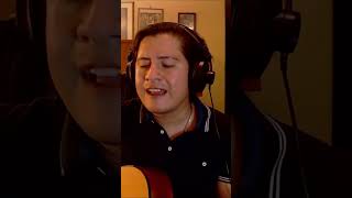 Mario Valdizón  Mi Vestido Azul Floricienta Cover [upl. by Rennane490]