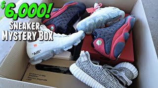 Unboxing A FREE 6000 Sneaker Mystery Box 😳 [upl. by Etirugram]