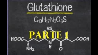 Glutatione attività biologica e funzioni sullimmunità PARTE 1 [upl. by Weisbart131]