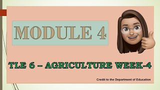 MODULE 4 in TLE6  AGRICULTURE WEEK 4 [upl. by Jamal576]