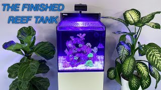 How to Setup a Reef Tank  Part 5 Hardy Beginner Fish amp Cycling [upl. by Atinehc]