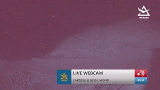 Live webcam di Carosello 3000  Livigno [upl. by Vijar642]