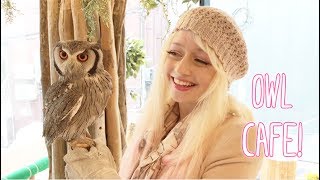 Owls Garden Cafe Harajuku  Violet LeBeaux [upl. by Reld]