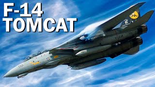 F14 Tomcat el caza de TOP GUN [upl. by Oiramel665]