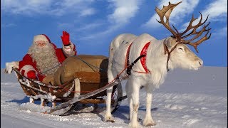 Santa Claus for kids 🦌🎅 Best reindeer rides of Father Christmas in Lapland Finland for children [upl. by Latsirhc]