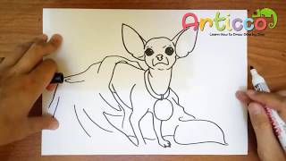 How to Draw a Chihuahua Step by Step [upl. by Oby]