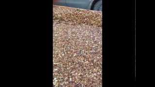 How to repair your concrete steps with Pebble Stone Flooring [upl. by Ruon]