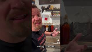 Racking MEAD Live mead homebrewed diy [upl. by Durning]