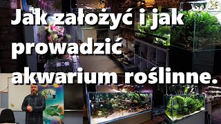 Jak założyć i jak prowadzić akwarium roślinne [upl. by Corabelle]