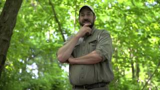 Barberry Eradication 2013 [upl. by Wright]