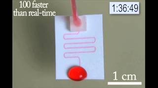 Paper Microfluidic Device running for 3h [upl. by Ueik521]