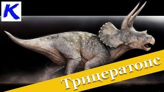 Трицератопс могутній трирогий травоїдний динозавр Пізнавальне відео про динозаврів для дітей [upl. by Rhoads]