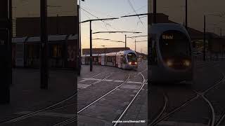 Tram Firenze  Straßenbahn in Florenz  Italien 2023  shorts [upl. by Maida]