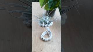 DIY Macrame Air Plant Stands Standing Macrame Tilansia shorts diy trending explore macrame [upl. by Atiuqes]