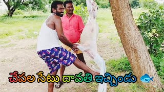 చేపల చేటు దావతి ఇచ్చిండు 🐟yatala shankar volgs యాటల శంకర్ వీడియో [upl. by Espy]