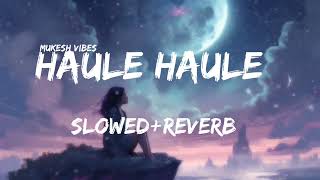 HAULE HAULE SLOWEDREVERB HINDI SONG [upl. by Ahsenad]