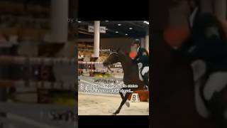 Hickstead ✨💖hickstead horse short [upl. by Dorison956]