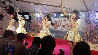 2024330 MilkShake LIVE 春吉橋ハシゴ横丁LIVE 山本ななみちゃん 福岡LASTLIVE [upl. by Nylirehs]