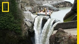 After Largest Dam Removal in US History This River Is Thriving  National Geographic [upl. by Kciredec577]