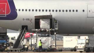 Lithium batteries Guidance for cargo and ramp personnel [upl. by Akinehs277]