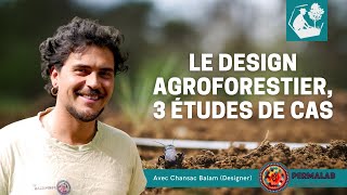 Le design agroforestier 3 études de cas avec Chansac Balam PermaLab [upl. by Atsirc94]