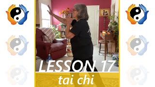 Tai Chi Lesson 17 [upl. by Sampson]