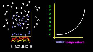 1712 Sketch a graph of vapour pressure temperature with kinetic theory IB Chemistry HL [upl. by Given]