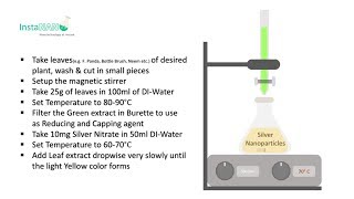 Synthesis of Silver Nanoparticles by Leaf Extract  InstaNANO [upl. by So]